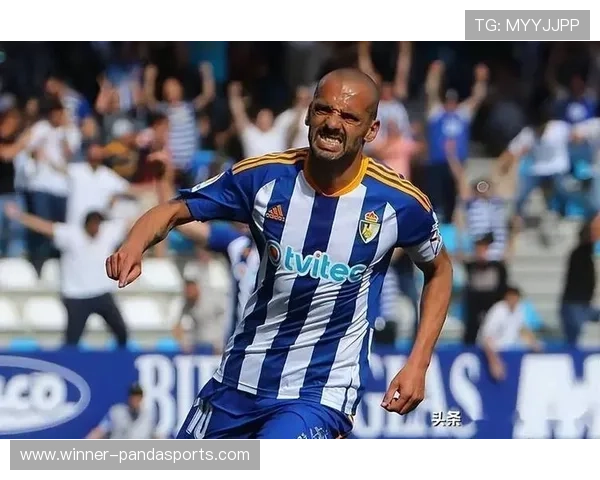 足球球星马兰德最新动态与精彩瞬间合集解析